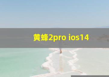 黄蜂2pro ios14